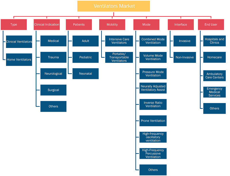 Report Segmentation and Scope: