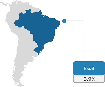 Brazil Instant Noodles Market Growth