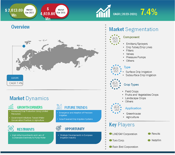 Europe Drip Irrigation Market Share — by Country, 2023