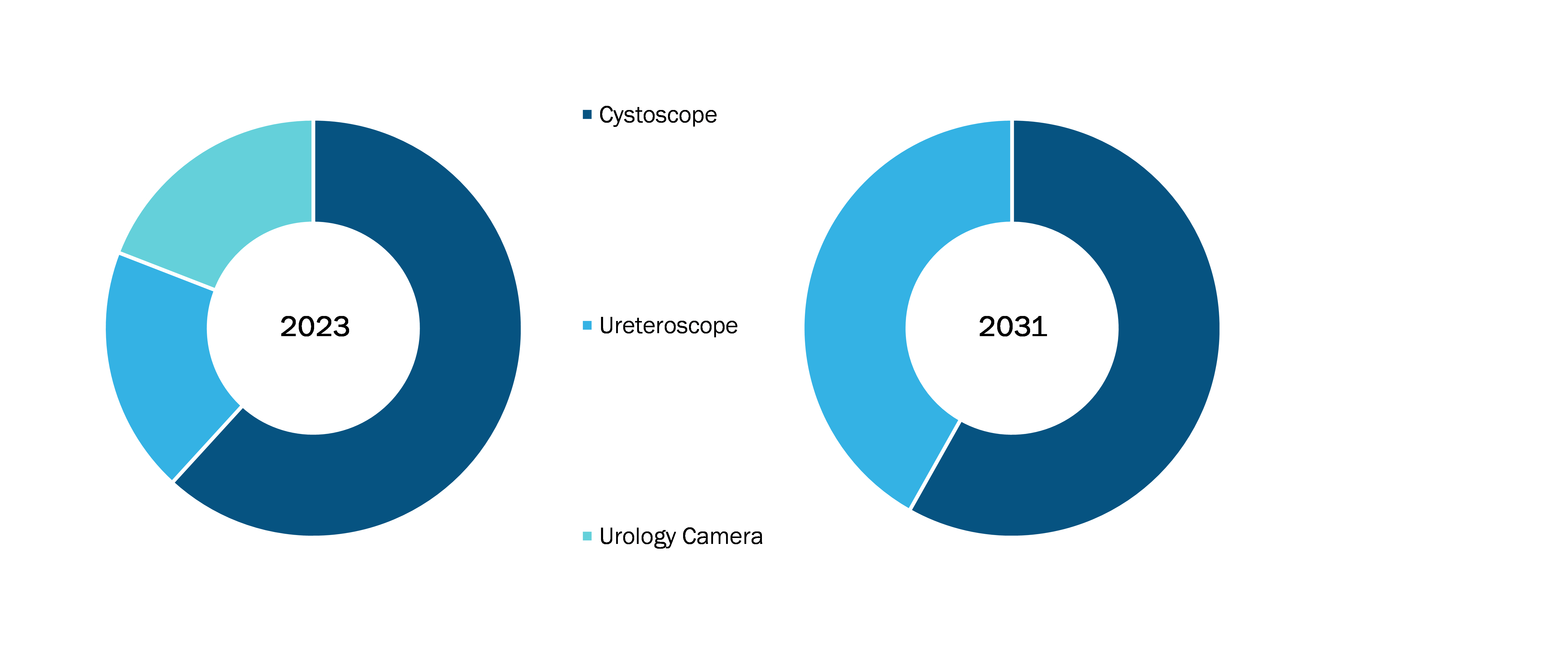 India Cystoscopy and Ureteroscopy Market