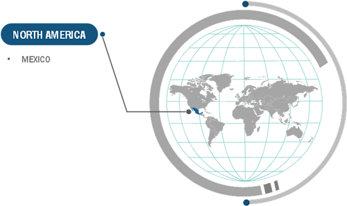 Mexico Logistics Market Share — by Country, 2023