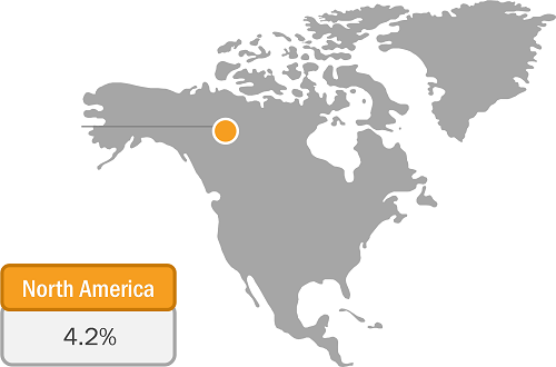 North America Flatbread Market Growth