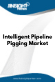 Intelligent Pipeline Pigging  Market